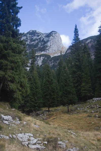 Гори Велика Баба Юлійські Альпи Alpe Адрія Trail Словенія Центральної — стокове фото