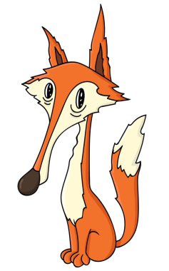 Kırmızı tilki beyaz arkaplanda izole edildi