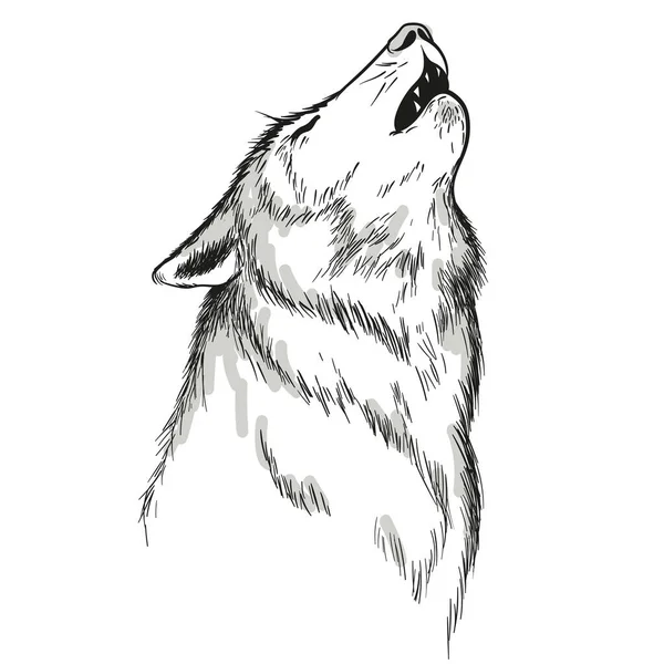 Hurlement Silhouette Loup Blanc Sur Fond Blanc — Image vectorielle