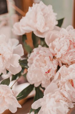 Güzel şakayık çiçekleri görünümünü kapat 