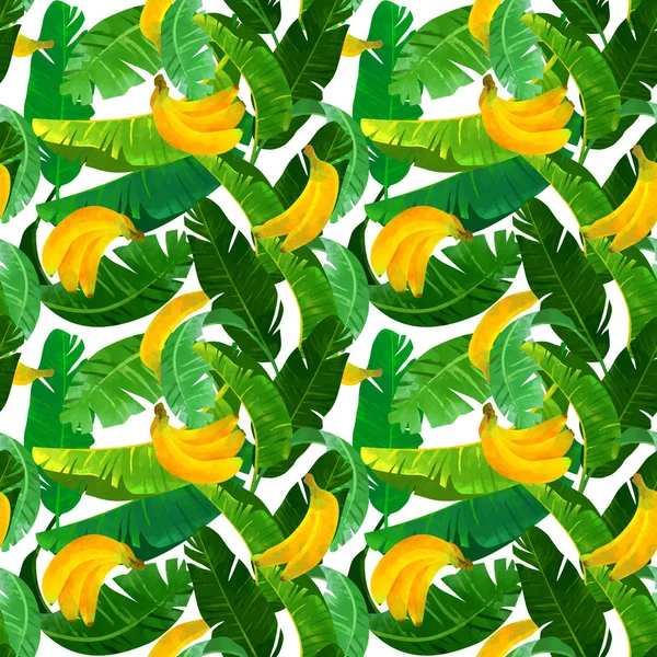 Modèle Tropical Sans Couture Avec Des Feuilles Banane Illustration Végétale — Photo