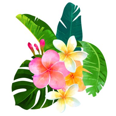 Tropikal yaz buket çiçekli plumeria, vjnstera yaprak, muz yaprakları.