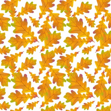 Beyaz arka planda sarı meşe yapraklarının kusursuz deseni. Sonbahar arkaplanı.