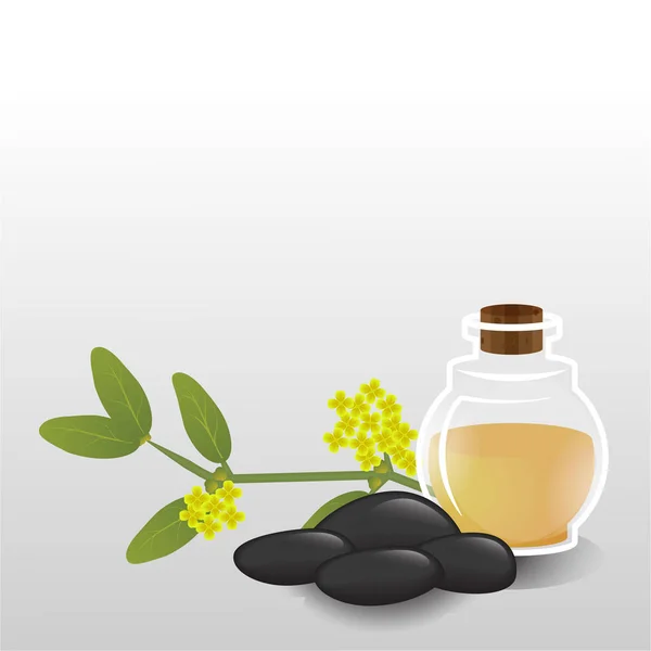 Simmondsia Chinensis Jojoba Olie Glazen Fles Etherische Olie Aromatherapie Haarverzorging — Stockvector