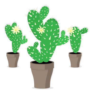 Kaktüs vektör çizim karikatür tarzı Meksikalı dizi . 