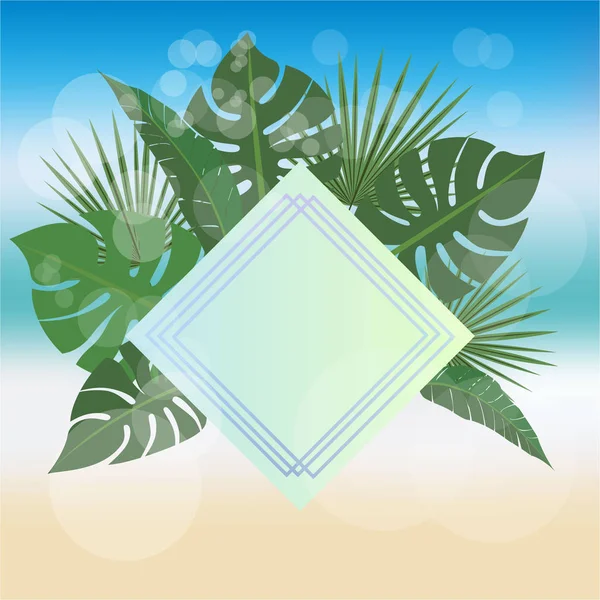 Summer Background Rhombus Golden White Label Web Print Palm Leafs — Stock Vector