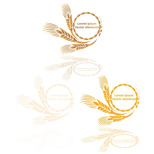Orelhas de trigo, aveia ou cevada três logotipos vetoriais definido de ouro —  Vetores de Stock