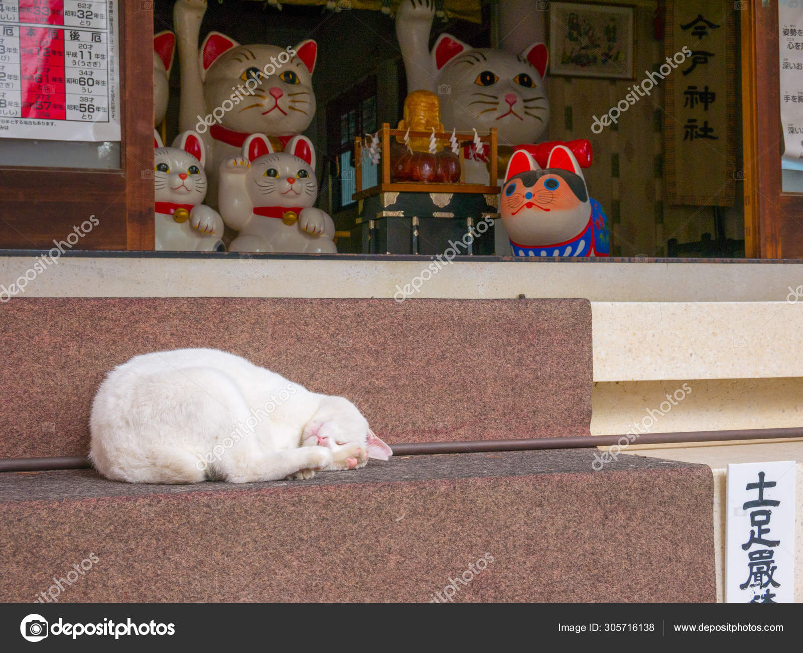 A Real Cat Is Slepping In The Stairs Of Imado Jinja Shrine In Tokyo Japan Stock Editorial Photo C Christazy A Real Cat Is Slepping In The Stairs Of Imado Jinja Shrine In Tokyo Japan Stock Editorial Photo C Christazy