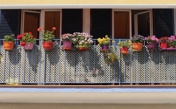 Λουλούδια Γλάστρες Άνοιξη Ένα Ηλιόλουστο Μπαλκόνι Στην Πόλη — Φωτογραφία Αρχείου