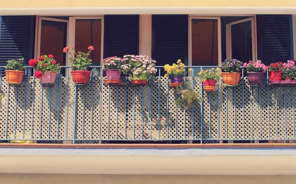 Şehrin Güneşli Bir Balkon Saksı Bahar Çiçekleri — Stok fotoğraf