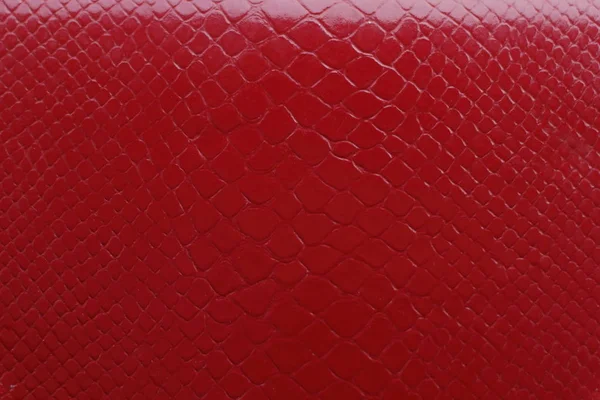 Textura Espuma Roja Patrón Piel Serpiente — Foto de Stock