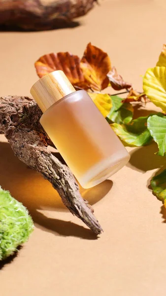 Cam kozmetik şişesi ahşap gövde, yosun ve konteynır.