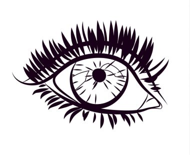 Kadının göz silüeti. Vektör illüstrasyon izole. Kadın göz.