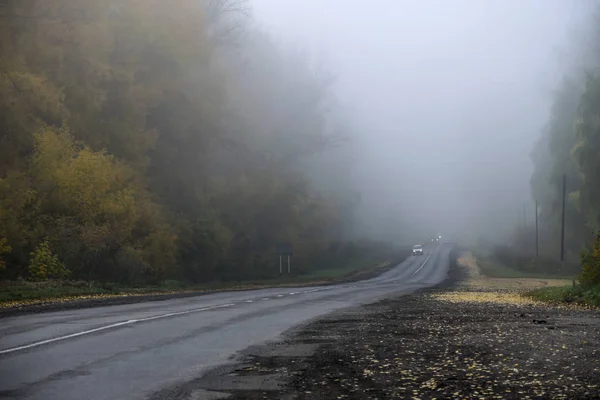 Sisin içinde sonbahar yolu