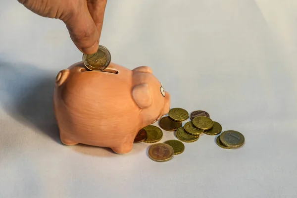 piggy bank in front of which are coins. A hand is putting a coin in a piggy bank.