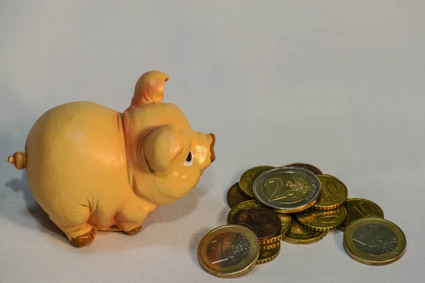 a small ceramic pig in front of which are coins