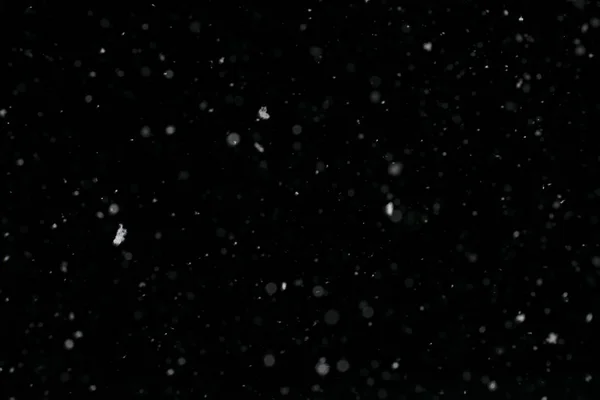 Снежинки Черном Фоне — стоковое фото