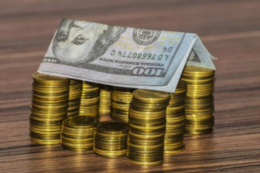 sikke 100 dolar yerine bir çatı ile yapılmış bir ev