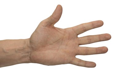 Palmiye bütün parmaklar yapışkanlık dışarı açık, nerede bir el hareketi. Beyaz bir arka plan üzerinde ayrı tutulan el.