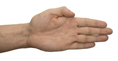 Palmiye açık nerede el hareketi, ama parmakları birbirine preslenmiş. Beyaz bir arka plan üzerinde ayrı tutulan el.