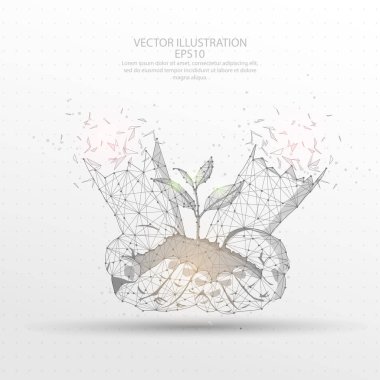 El holding genç bitki şekli satır ve kompozisyon dijital olarak çizilmiş düşük poli tel çerçeve kırık şeklinde bir bölümü üçgen ve beyaz arka plan üzerinde dağınık noktalar.