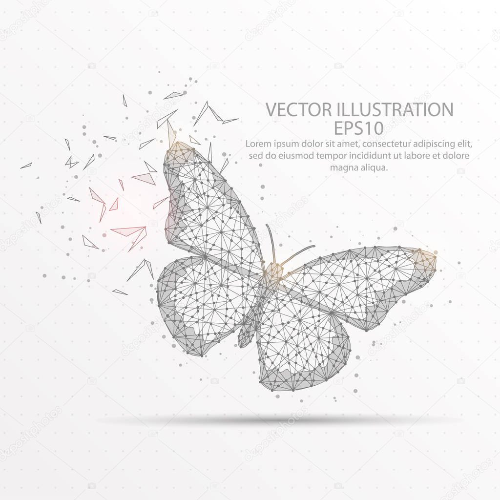 Butterfly abstract mesh line and composition digitally drawn starry sky or space in the form of broken a part triangle shape and scattered dots low poly wire frame.