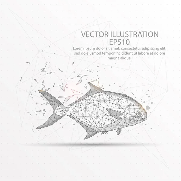 Fish Abstract Mesh Line Composition Digitally Drawn Starry Sky Space — Stock Vector