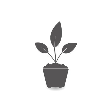 Bir tencere simgesi basit düz stil vektör illüstrasyon bitki.