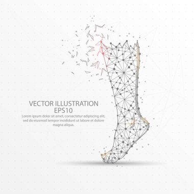 Beyaz arka plan üzerinde insan bacak düşük poli tel çerçeve.