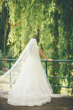 Gelin satying sırt ile örtü ile parkta olduğunu