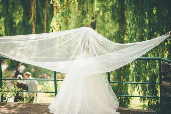 哀伤的新娘婚礼面纱在绿色公园飞行 — 图库照片