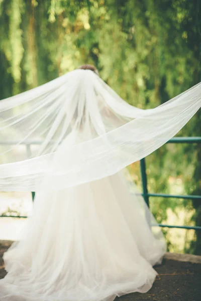 Wedding Veil Flying Green Park — Stock Photo, Image