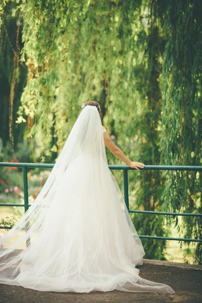 Triest Bruid Verblijft Het Park Trouwjurk — Stockfoto