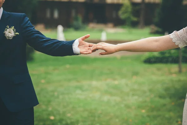 Mooie Bruidspaar Houden Handen Samen Het Park — Stockfoto