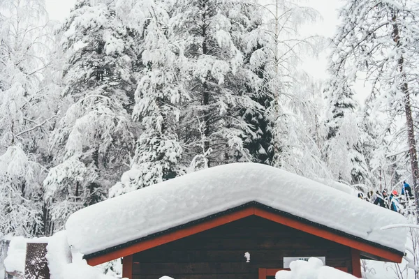 Téli Erdő Karácsonykor Rovaniemi Finnországban Lappföldön Északi Sarkvidék Pólus — Stock Fotó