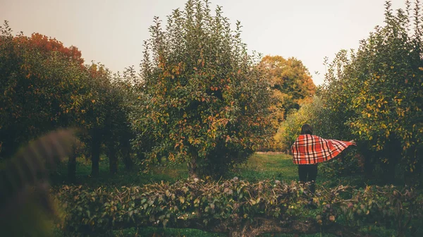 Vista posterior de mujer en el bosque — Foto de Stock