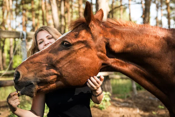 若い女の子と馬の茶色のクローズアップ肖像画 女は馬の顔を抱きかかえて手に届く 馬と男の友情 自信だ 愛と理解 — ストック写真