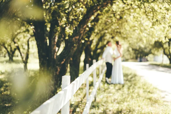 Egy közeli kép egy fehér fából készült kerítésről a parkban és a friss házasok a kerítés mellett állnak. — Stock Fotó