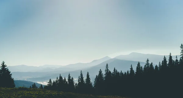 Panorama manzaralı sabah sisli dağ manzarası. — Stok fotoğraf