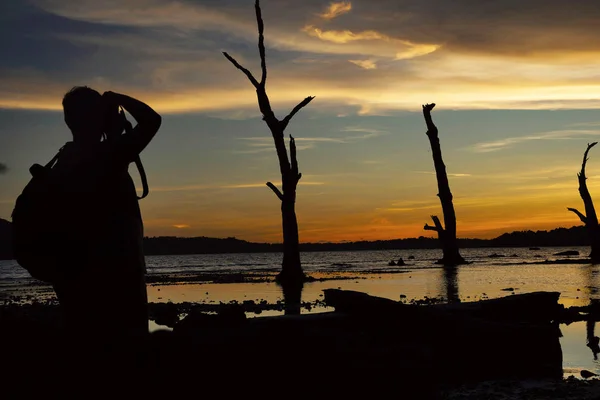 Silueta Árboles Bosques Contra Sol Poniente Playa Chidiya Tapu Andaman — Foto de Stock