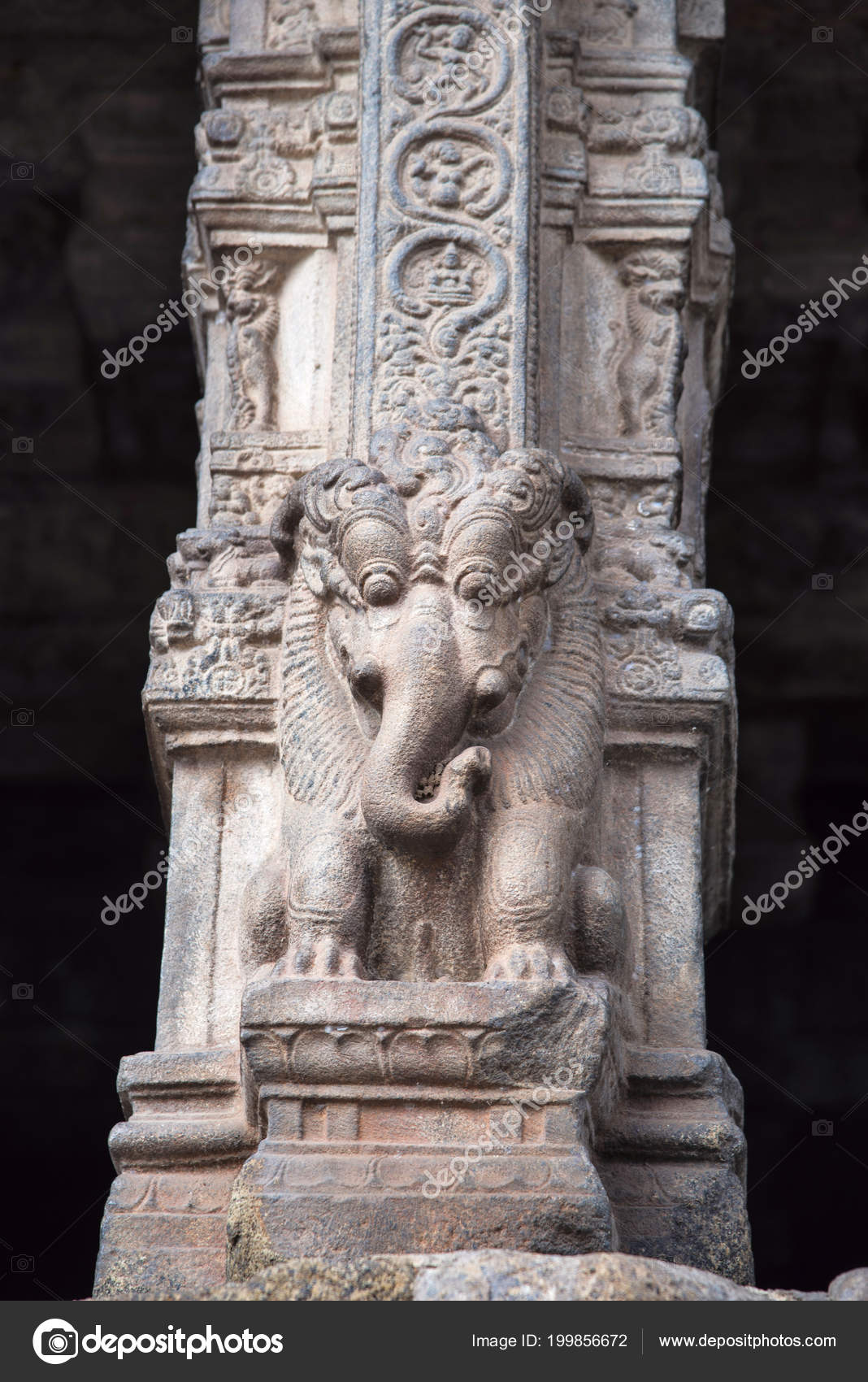 Images elephant pillar india Yali pillar. Part lion and part