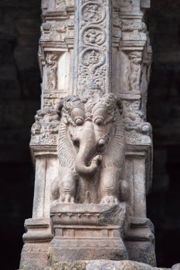 Yali ayağı. Bölüm aslan ve bölümü fil. Airavatesvara Tapınağı, UNESCO Dünya Miras Listesi, Darasuram, Tamil Nadu, Hindistan