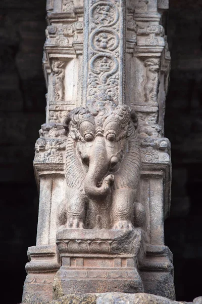 Yali pilíř. Lev a slon část. Airavatesvara chrám, světového dědictví UNESCO, Darasuram, Tamil Nadu, Indie — Stock fotografie