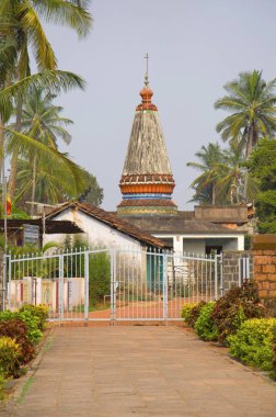 Eski Tapınak yakınındaki Bhoo Varaha Laxmi Narasimha Tapınağı, Halashi, Karnataka, Hindistan