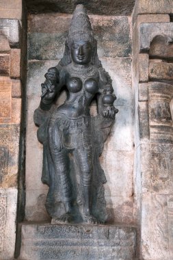 Devi lotus ve ratna-kalasa pot ile taşlar ile niş içinde ardha-mandapa, Airavatesvara Tapınağı, Darasuram, Tamil Nadu, Hindistan önde gelen bir mandapa dolu..