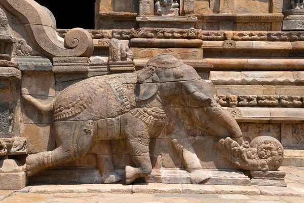 Elephant Nära Flyg Stegen Agra Mandapa Airavatesvara Tempel Darasuram Tamil — Stockfoto