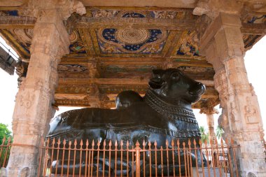 Büyük yekpare Nandi, Brihadisvara Tapınağı, Tanjore Tamil Nadu Hindistan