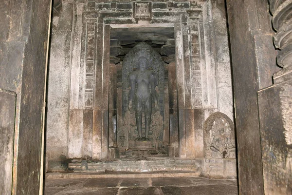 Parshvanatha Ana Tapınak Heykeli Parshvanatha Basadi Basadi Halli Karnataka Hindistan — Stok fotoğraf