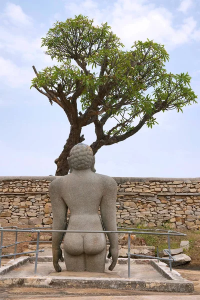 Una Estatua Rara Bharata Hermano Bahubali Complejo Del Templo Colina — Foto de Stock