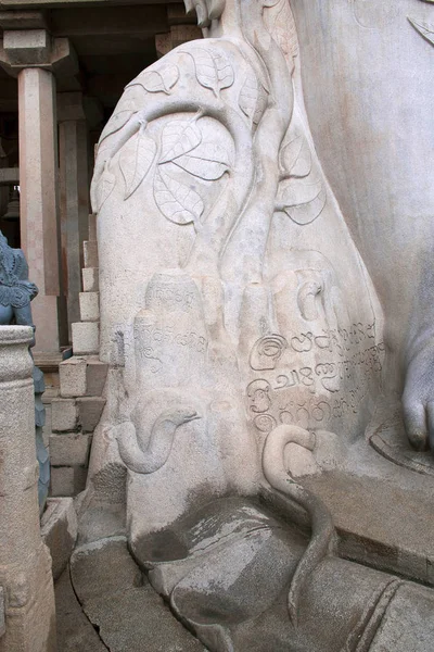 Una Gigantesca Estatua Monolítica Bahubali También Conocida Como Gomateshwara Vindhyagiri — Foto de Stock
